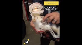 12 Moments that will you give Nightmares