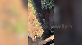 Neighbours winch stranded cow to safety from narrow ditch in Indonesia