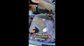 A SHOCKING VIDEO shows the incredible transformation of a car littered with dog poo, hair, and nail clippings after it was professionally cleaned.