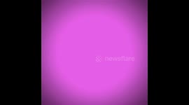 My lovely folwers are very beautiful and very fantastic.They are the beauty of the earth