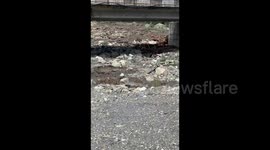 Powerful landslide hits Shovi-Racha, Georgia