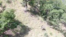 Turkish forces kill 2 PKK members, capture 1 in N. Iraq