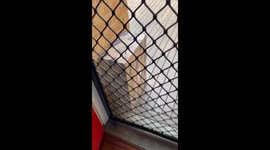 Poorly Placed Package Prevents Door Opening