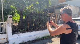 Dog thinks he is a pillar statue on the entrance of a house