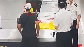 Passenger caught smuggling 14 live SNAKES in his pockets in China