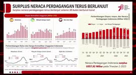 Indonesia records 5.17 pct GDP growth in Q2