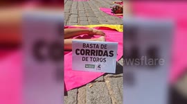 Half-Naked Horned Activists Protest Against Bullfighting In Majorca, Spain