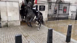 Horse freaks out as Kings Guard looses control in Stormy Weather
