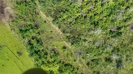 Ukrainian drone drops bomb on Russian target on the battlefield