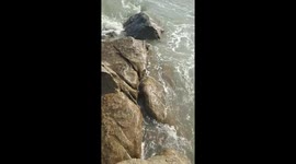 Man bravely rescues mother and son swept away by waves at seaside