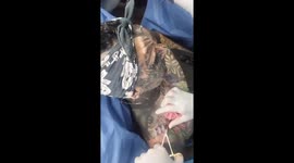 'I'm one half of an extreme body mod couple in our 50s – people call us CHERUBS from HELL' Part 2/6