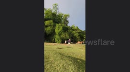 Discipline drenched: mother's flogging lesson backfires in Enrile, Cagayan