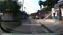 You shall not pass! Pet dogs block car as they rest on street in China
