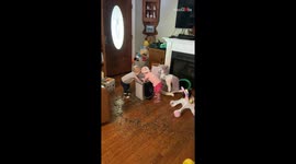 Little Siblings wreck hovac with bird seeds when their mother leaves them unattended