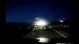 Tourist blinded by headlights hits flock, killing 12 sheep in China