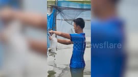Hero passer-by swims through waist-deep water to save bird tangled in net