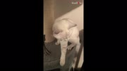 temp