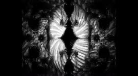 Trippy psychedelic visuals to watch when experimenting with schedule one drugs