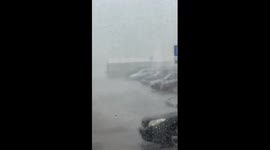 Torrential rainstorm unleashes fury: container tossed by powerful winds in Borovlyany, Belarus