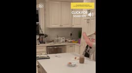 Diana Ross super fan cries when he's surprised with tickets