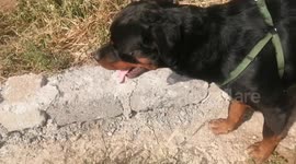 this looks so painfull OMG