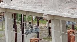 Bear roams about in residential area in southern India, captured