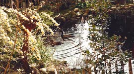 Codix Damiyen - Photography