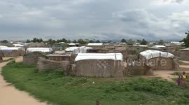 ICRC sows seeds of hope for conflict-affected young farmers in Cameroon