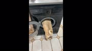 temp