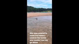 My 6 months Yorkie swimming