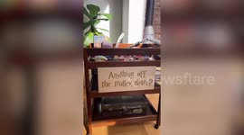 Mum throws Harry Potter party for son's birthday and transforms house into wizarding world