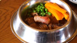 Britain's best pub for dogs has a library of sticks and two menus just for pooches