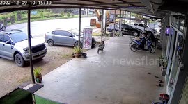 Little boy throws rage kicking bicycle when he falls