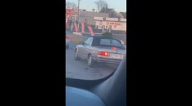 Pint-Sized Christmas Tree (ID: 311975146)