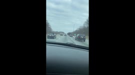 Megatree on Minivan (ID: 373337204)