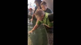 Curious boy stung with disgust after touching slimy stingray *GOLD REACTION!*