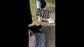 Woman saves £1,500 a month living in TESLA with pets Part 1/3