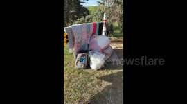 Woman saves £1,500 a month living in TESLA with pets