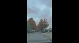 Otoño en Santiago de Chile. Un paseo delicioso de frescor y hojas amarillas