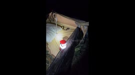 Slithering sleepover: Camper's unzipped tent leads to one snake, zero winks, and a tail to tell