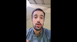 I was one moment away from being bitten by hornets