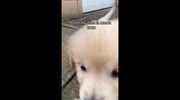 temp
