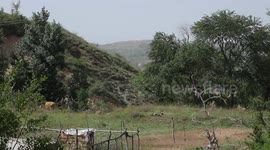 Disabled youth in NW China glides on wings of poetry