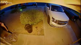 Attempted kidnapping