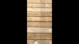 Long walk with friends