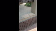 temp