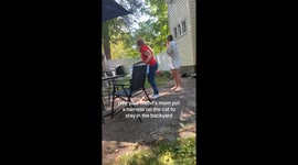 Cat Freaks Out Over Harness