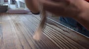 temp