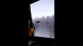 Train driver feeds crow flying alongside carriage