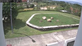 CCTV captures private jet exploding in fireball when it crashes on road in Malaysia